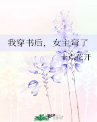 我穿书后女主竟然弯了